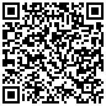 software developer